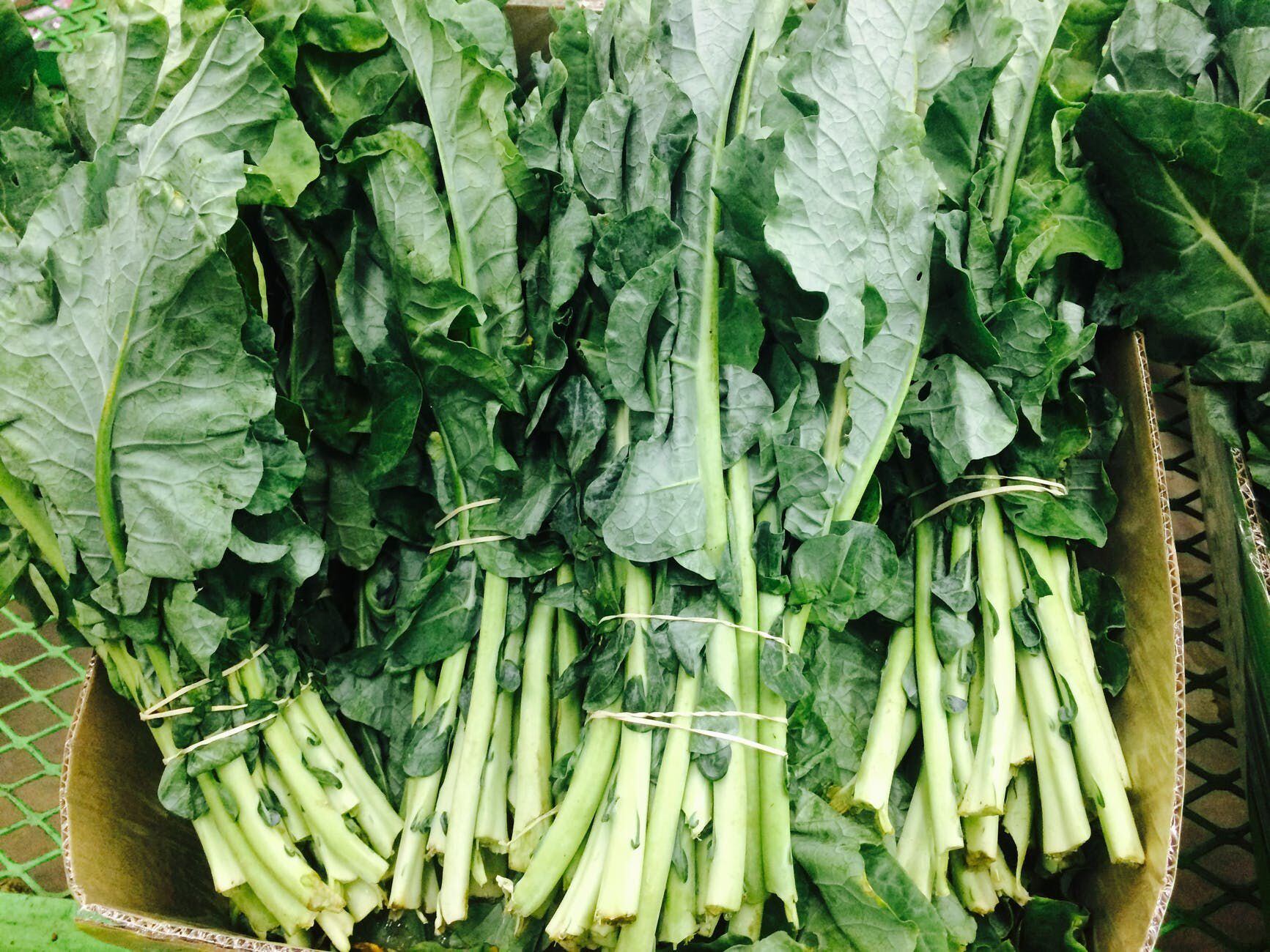 Las mejores verduras para controlar los niveles de glucosa en la sangre en  personas con diabetes | Salud | La Revista | El Universo