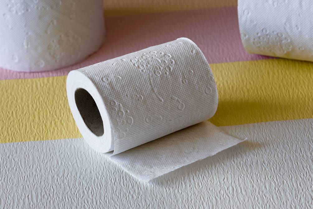 Cuando no existía el papel higiénico, ¿qué usaban las personas?, Sociedad, La Revista