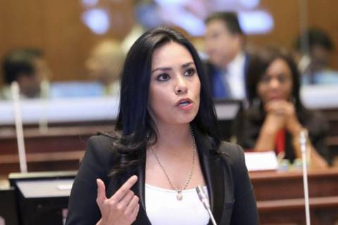 Jeannine Cruz: El sistema de protección de derechos de los periodistas está en la orfandad