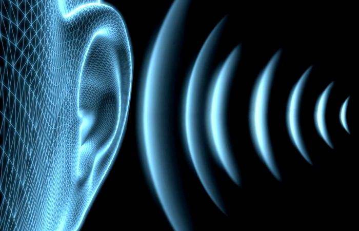 Por qué la voz es distinta cuando está grabada | Salud | La Revista | El  Universo