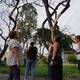 ‘Hay miedo de que un pedazo de árbol nos caiga encima’: moradores de La Garzota solicitan poda urgente de especies en parque