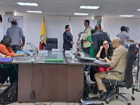 Consejo de Participación Ciudadana abrirá una investigación en contra de la fiscal Diana Salazar al hallar ‘indicios de plagio’