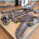 Restos fósiles gigantes, réplicas de fauna antigua y objetos ancestrales en ruta de museos peninsulares