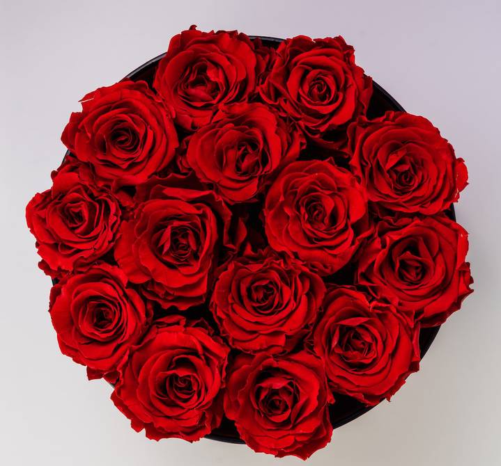 San Valentín 2023: Significado del ramo de rosas según su número de flores  | Sociedad | La Revista | El Universo