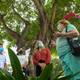 Se realizó acto de despedida y agradecimiento para árbol enfermo en parque de Lomas de Urdesa