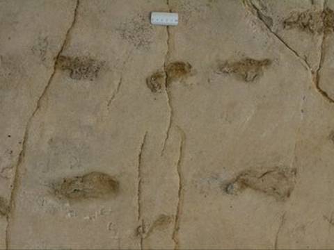 Huellas de Trachilos: la controvertida evidencia fósil que desafía lo que sabemos sobre los orígenes de la humanidad
