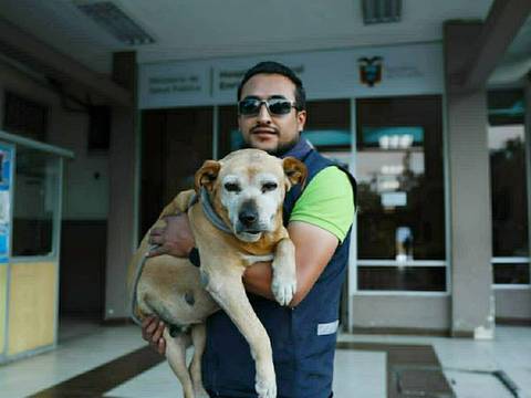 UBA atiende a canes que recorrían las instalaciones de un hospital en el sur de Quito