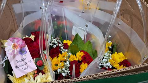 En una semana llegaron más de 103 millones de flores ecuatorianas a Estados Unidos para el Día de la Madre, este es su camino desde la base de Latam Cargo de Miami hasta el consumidor final
