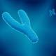 Qué revela sobre la genética de los hombres la primera secuencia completa del “extraño” cromosoma Y