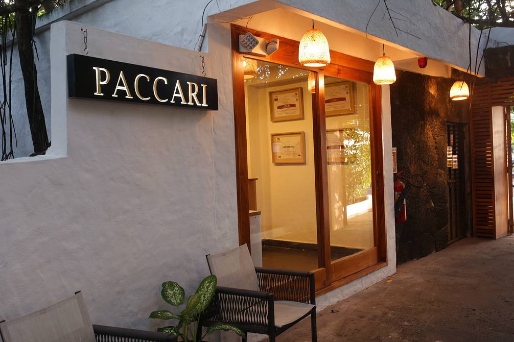 Paccari chocolate and its products are already in the Galapagos Islands |  Economy |  News