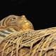 Con cera de abejas embalsamaban a sus momias los antiguos egipcios, revela un estudio