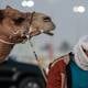 ¿Cuáles son los síntomas y prevenciones del virus del camello? Tres jugadores de Francia se han contagiado de esta enfermedad, más letal que el COVID-19, antes de la final del Mundial 2022