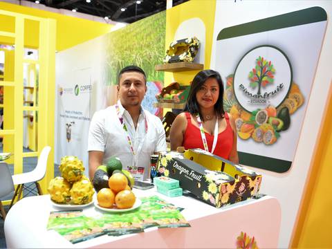 Nueve empresas ecuatorianas fueron a buscar negocios con China, Japón y Corea del Sur para colocar banano, pitahaya y otras frutas