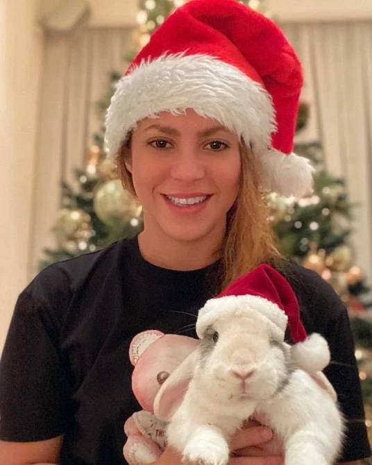 Shakira renews her energy with Milan and Sasha: the Colombian artist sends a message to Jouahry in the midst of the Christmas holidays before separating from Pique |  people |  entertainment