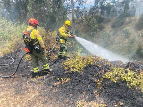 Quito registra un aumento del 105 % en la cantidad de incendios forestales en comparación con el 2022