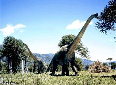 Los dinosaurios herbívoros estaban en decadencia cuando cayó el asteroide |  Ecología | La Revista | El Universo