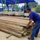 Ministerio del Ambiente de Ecuador dona madera decomisada para mejoramiento de muelle y sendero ecológico