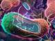 OMS identifica 15 bacterias peligrosas por su resistencia a los antibióticos