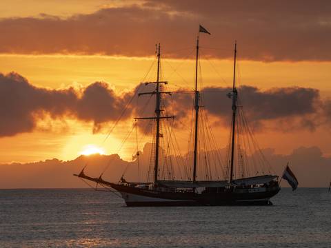 Expedición científica en Galápagos: Tataranieta de Charles Darwin entre las que hará investigación en el archipiélago