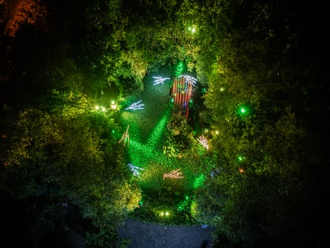Un ‘Bosque de luz’ deslumbrará al público con iluminaciones y sonidos desde el Jardín Botánico de Quito