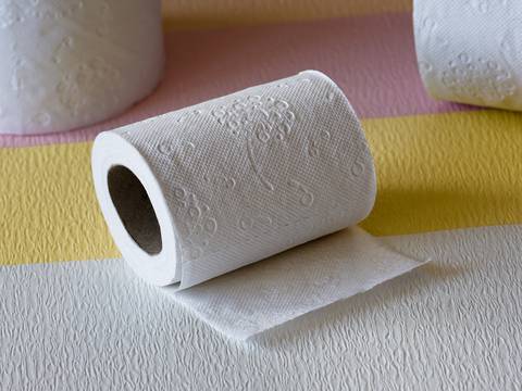 Cuando no existía el papel higiénico, ¿qué usaban las personas?