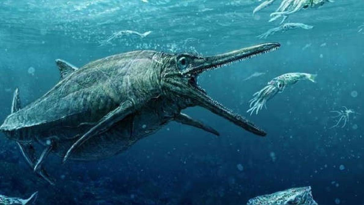 Ictiosaurio, el 'dinosaurio marino' que ofrece detalles sobre la  megadepredación | Internacional | Noticias | El Universo