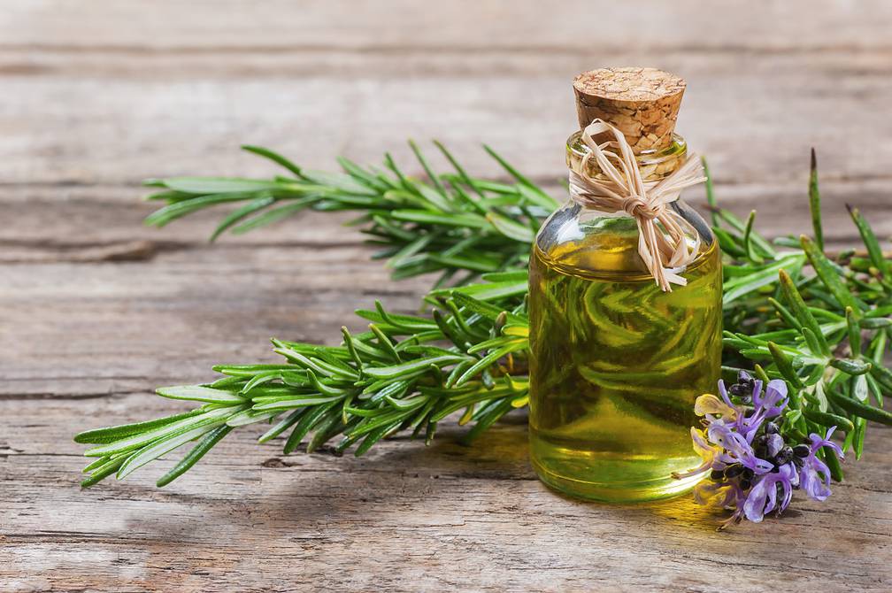 Infusi\u00f3n de romero para fortalecer tu cabello y darle brillo: los ...