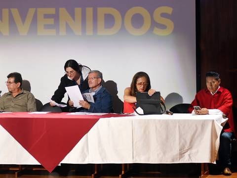 Seis candidatos al Consejo de Participación Ciudadana denuncian un presunto ‘fraude’ electoral