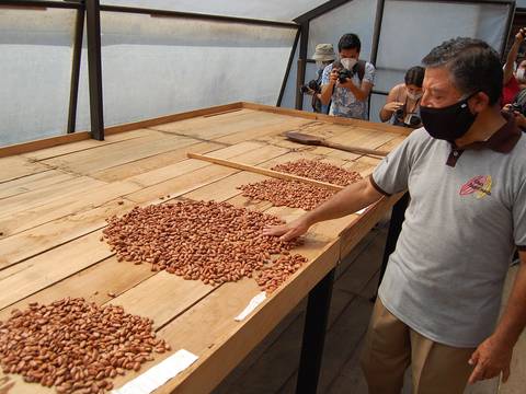 Pese al COVID-19, cacao rompe récord del 2018 y exporta 345.000 toneladas en 2020 