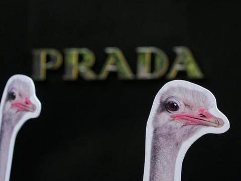PETA compra acciones en Prada para denunciar uso de piel de avestruz