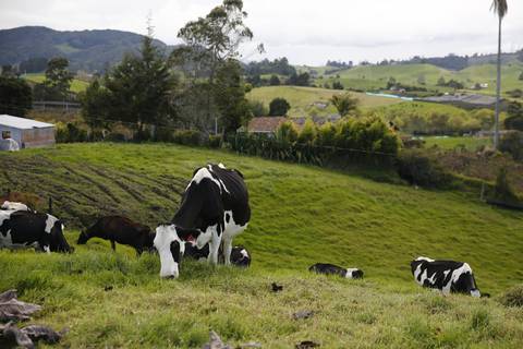 Incesante acoso a la agricultura y ganadería