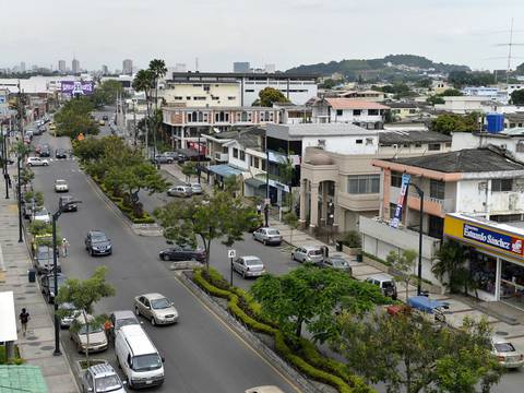 Patrimonio natural urbano de Guayaquil tiene más de 100.000 árboles, según directora de Áreas Verdes