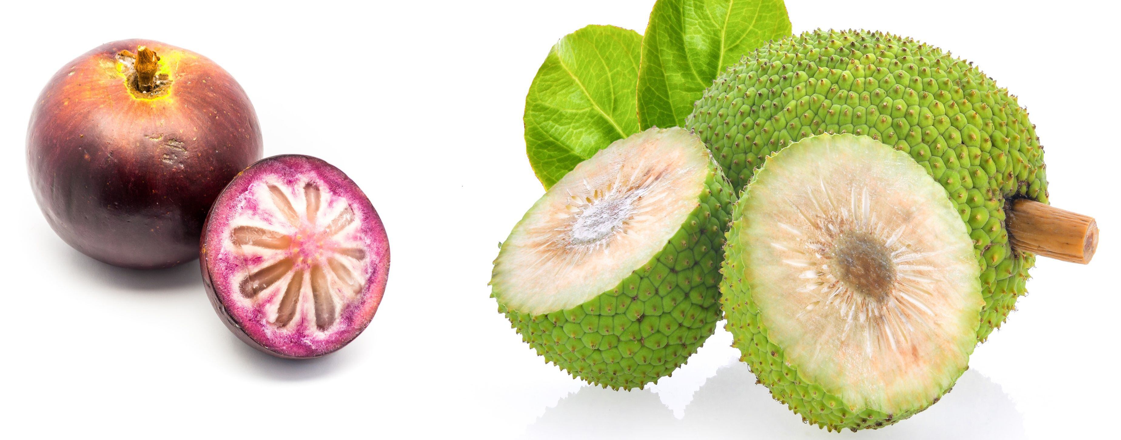 ¿Conoce el caimito y la fruta de pan, delicias de antaño?