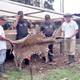 Matan a un jaguar en Orellana; Ministerio del Ambiente del Ecuador presentará denuncia