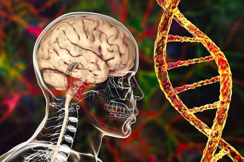 Identifican nuevas variantes genéticas que duplican el riesgo de padecer Alzheimer