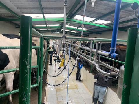 Gremios de la industria láctea y alimentos defienden estándares y refieren que hacen análisis periódicos de la leche