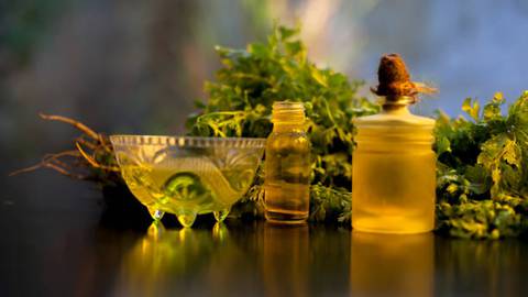 Así puedes preparar el agua de cilantro que es un relajante natural y ayuda adormir profundamente