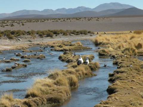 Bolivia contrademanda a Chile en la Corte de La Haya por el río Silala