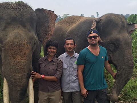 Leonardo DiCaprio viaja a Indonesia para gestionar santuario de protección animal