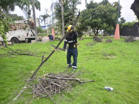 Árboles con cochinilla y esterilización de gatos, entre las primeras intervenciones que se realizan en el parque Forestal de Guayaquil