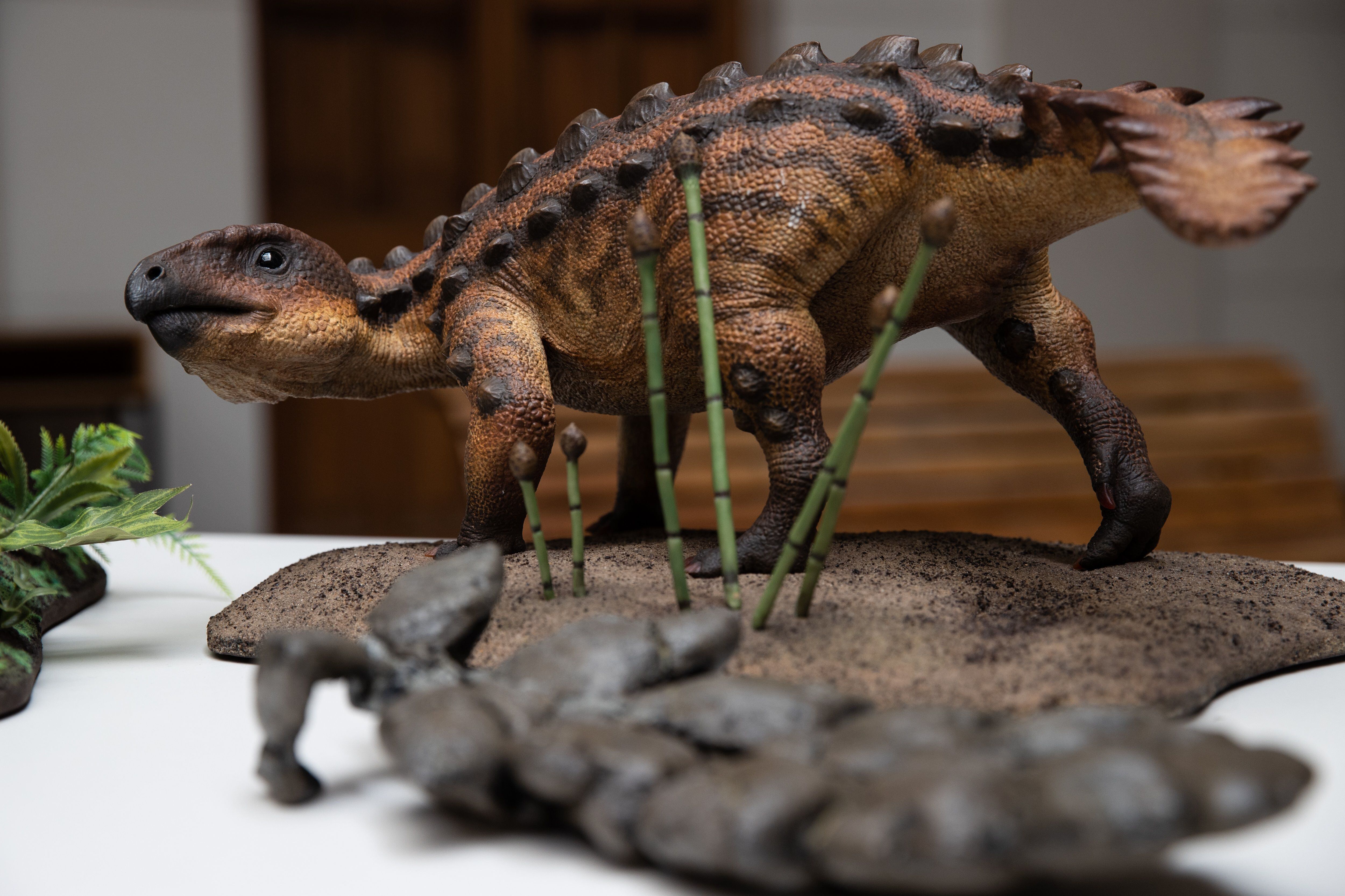 Paleontólogos revelan que algunos dinosaurios tenían 'ombligo' |  Internacional | Noticias | El Universo