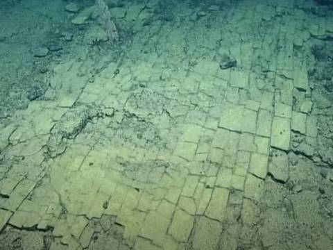Científicos descubren misterioso “camino de baldosas amarillas” en las profundidades del Pacífico
