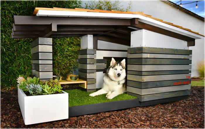 Casas para perros: la mansión de su mejor amigo, Diseño, La Revista