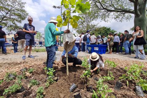 ‘Hace mucho calor y queremos un espacio verde para nuestras familias’: con 160 especies empezó la siembra del primer bosque urbano nativo de Guayaquil