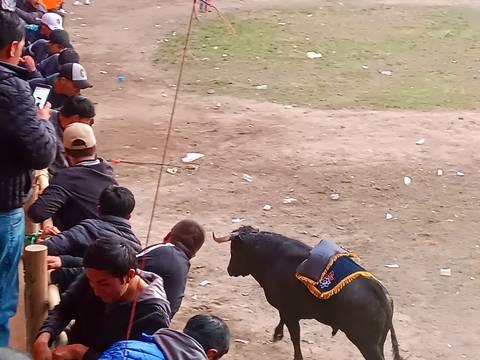 Segundo hombre muere corneado por un toro en Tungurahua