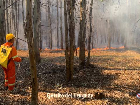 Uruguay se enfrentó a un incendio forestal en pleno Año Nuevo, los bomberos continúan atendiendo las zonas afectadas