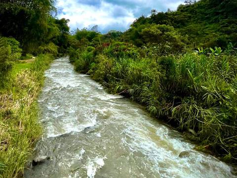 Fallo judicial declara sujeto de derecho al río Alambi, ubicado en la provincia de Pichincha