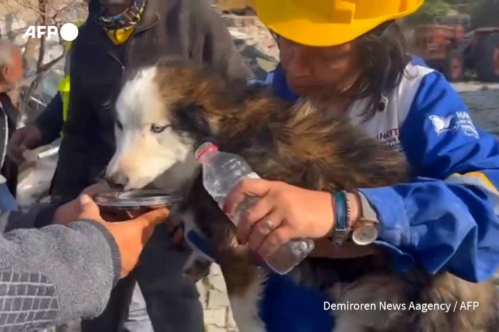 Three weeks after the earthquake in Turkey, a dog has been rescued from the rubble
