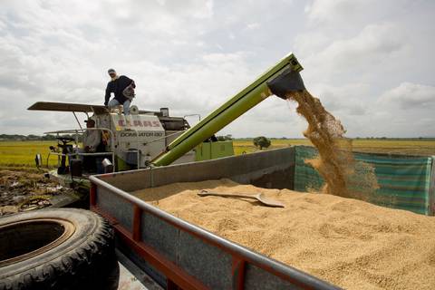 Ministro de Agricultura: ‘No va a afectar en la rentabilidad del productor’ el alza del IVA en gas agrícola 