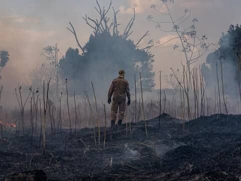 El Pantanal de Brasil, santuario de biodiversidad de Sudamérica, se incendia